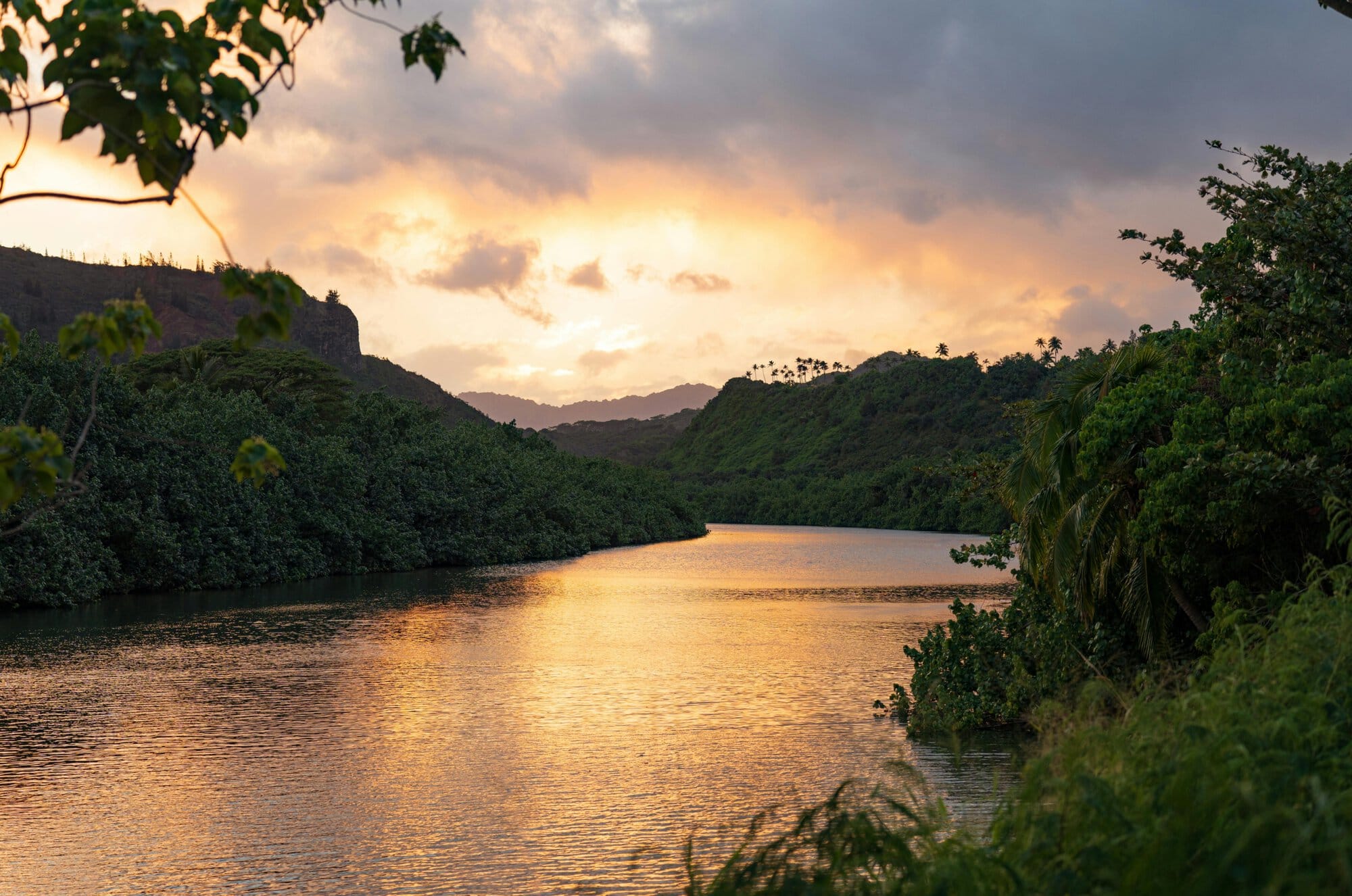 Wailua River and The Fern Grotto - The ISO