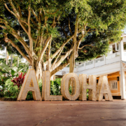 Shop 1 - signage at the shopping center on Kauai