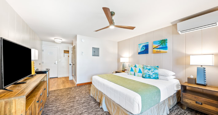 iso-pov-117-05 - room with a bed and television and night stand