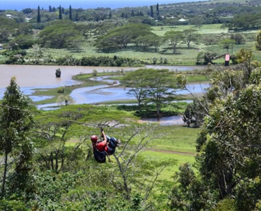Kauai zipline